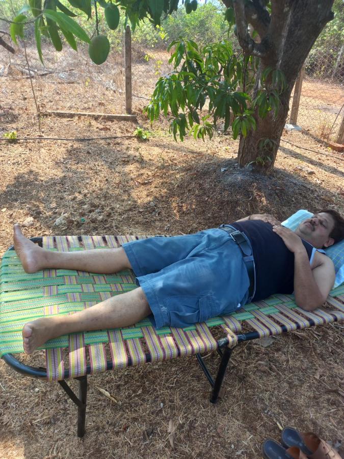 Misty Woods Eco Cottages Harihareshwar Eksteriør billede